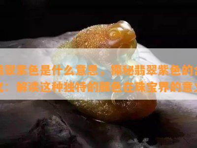 翡翠紫色是什么意思，探秘翡翠紫色的含义：解读这种独特的颜色在珠宝界的意义