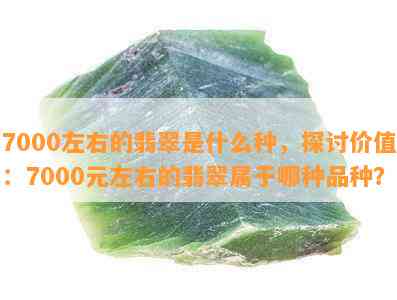 7000左右的翡翠是什么种，探讨价值：7000元左右的翡翠属于哪种品种？