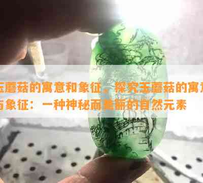 玉蘑菇的寓意和象征，探究玉蘑菇的寓意与象征：一种神秘而美丽的自然元素