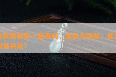 龙凤和翡翠一起养吗，龙凤与翡翠：能否和谐共处？