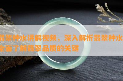 翡翠种水讲解视频，深入解析翡翠种水：全面了解翡翠品质的关键