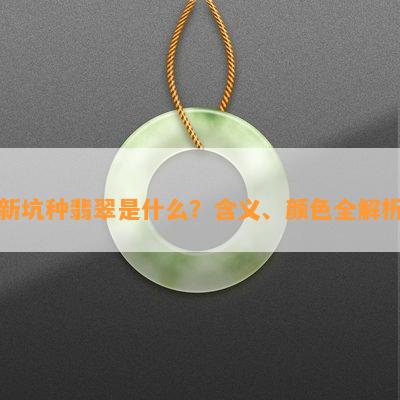 新坑种翡翠是什么？含义、颜色全解析