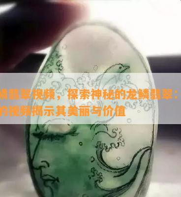 龙鳞翡翠视频，探索神秘的龙鳞翡翠：珍贵的视频揭示其美丽与价值