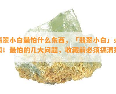 翡翠小白最怕什么东西，「翡翠小白」必知！最怕的几大问题，收藏前必须搞清楚！