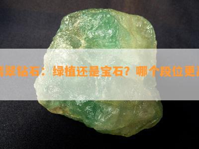 翡翠钻石：绿植还是宝石？哪个段位更高？