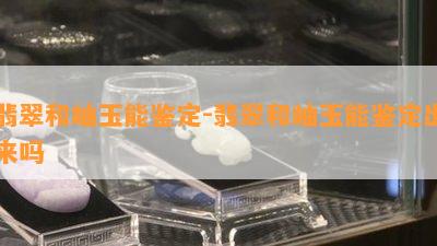 翡翠和岫玉能鉴定-翡翠和岫玉能鉴定出来吗