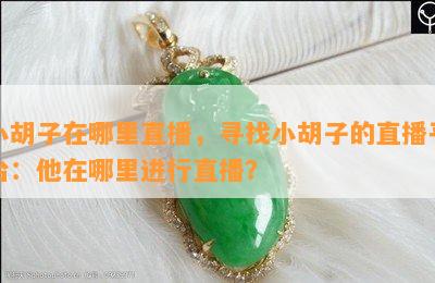 小胡子在哪里直播，寻找小胡子的直播平台：他在哪里进行直播？