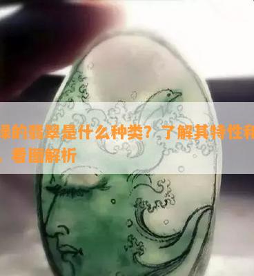 全绿的翡翠是什么种类？了解其特性和价值，看图解析