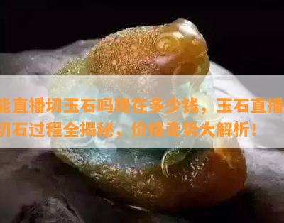 能直播切玉石吗现在多少钱，玉石直播：切石过程全揭秘，价格走势大解析！