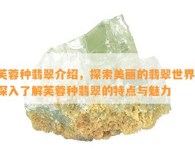 芙蓉种翡翠介绍，探索美丽的翡翠世界：深入了解芙蓉种翡翠的特点与魅力