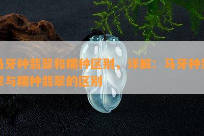 马牙种翡翠和糯种区别，详解：马牙种翡翠与糯种翡翠的区别