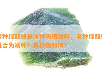 老种绿翡翠是冰种吗值钱吗，老种绿翡翠是否为冰种？其价值如何？