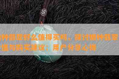 嫩种翡翠好么值得买吗，探讨嫩种翡翠的价值与购买建议：用户分享心得