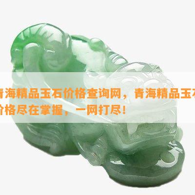 青海精品玉石价格查询网，青海精品玉石价格尽在掌握，一网打尽！