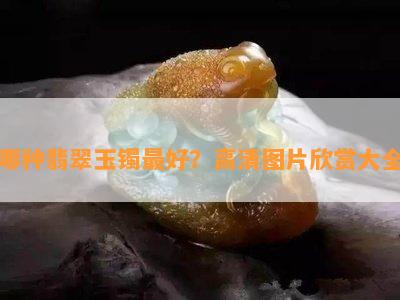 哪种翡翠玉镯更好？高清图片欣赏大全