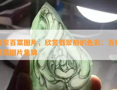 翡翠百菜图片，欣赏翡翠般的色彩：百种蔬菜图片集锦