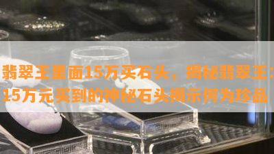 翡翠王里面15万买石头，揭秘翡翠王：15万元买到的神秘石头揭示何为珍品