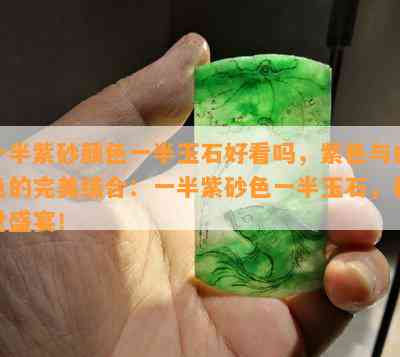 一半紫砂颜色一半玉石好看吗，紫色与白色的完美结合：一半紫砂色一半玉石，视觉盛宴！