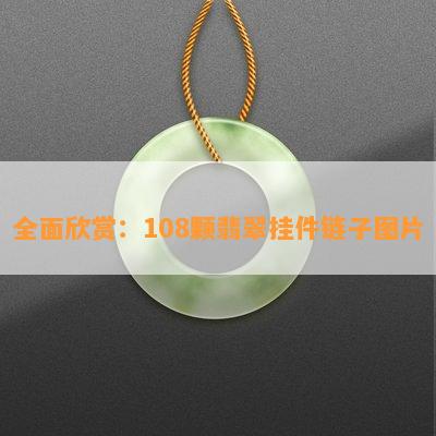 全面欣赏：108颗翡翠挂件链子图片