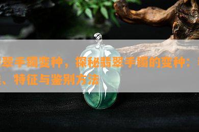 翡翠手镯变种，探秘翡翠手镯的变种：种类、特征与鉴别方法