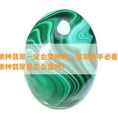 嫩种翡翠一定会变种吗，翡翠新手必看：嫩种翡翠是否会变种？