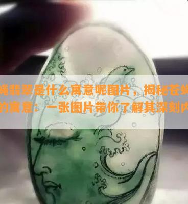 苍蝇翡翠是什么寓意呢图片，揭秘苍蝇翡翠的寓意：一张图片带你了解其深刻内涵！