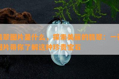 翡翠图片是什么，探索美丽的翡翠：一张图片带你了解这种珍贵宝石