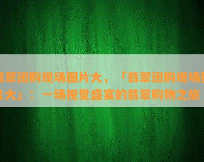 翡翠团购现场图片大，「翡翠团购现场图片大」：一场视觉盛宴的翡翠购物之旅