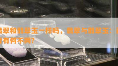 翡翠和翡翠玉一样吗，翡翠与翡翠玉：两者有何不同？