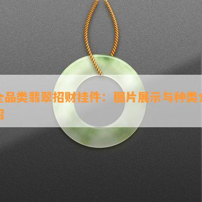 全品类翡翠招财挂件：图片展示与种类介绍