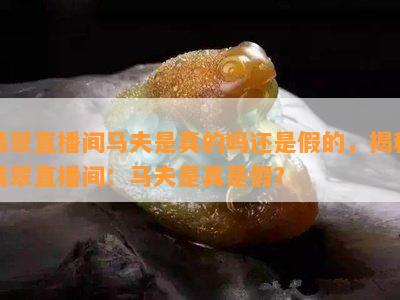 翡翠直播间马夫是真的吗还是假的，揭秘翡翠直播间：马夫是真是假？