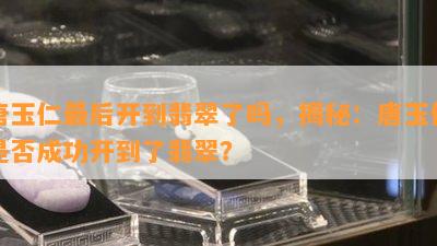 唐玉仁最后开到翡翠了吗，揭秘：唐玉仁是否成功开到了翡翠？