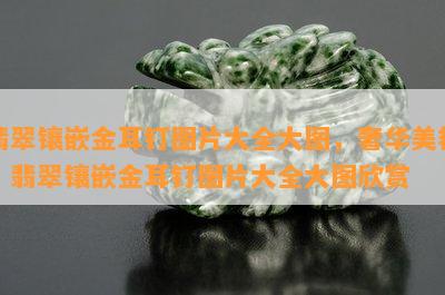 翡翠镶嵌金耳钉图片大全大图，奢华美艳！翡翠镶嵌金耳钉图片大全大图欣赏