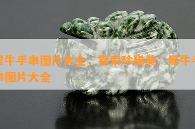 犀牛手串图片大全，探索珍稀美：犀牛手串图片大全