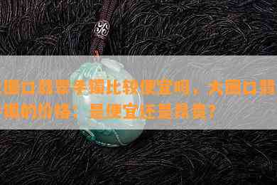 大圈口翡翠手镯比较便宜吗，大圈口翡翠手镯的价格：是便宜还是昂贵？