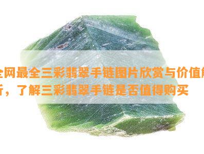 全网最全三彩翡翠手链图片欣赏与价值解析，了解三彩翡翠手链是否值得购买